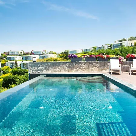 Calista By Important Group Travel