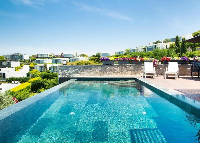 Calista By Important Group Travel