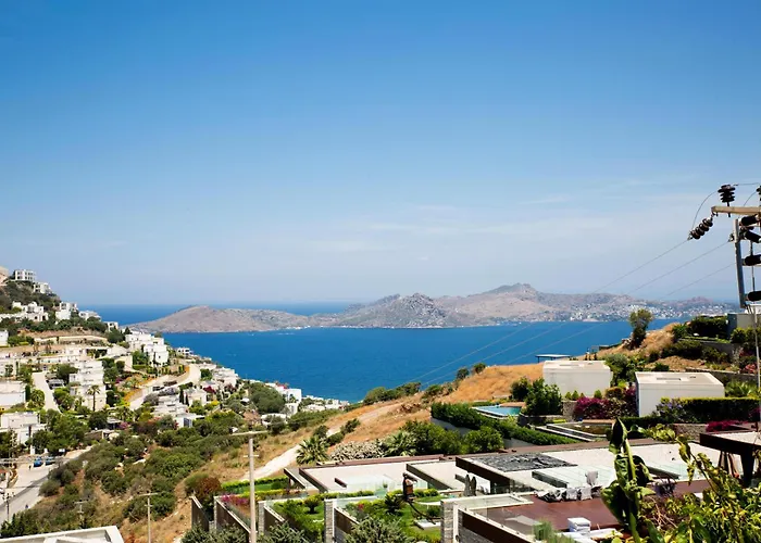 Calista By Important Group Travel Villa