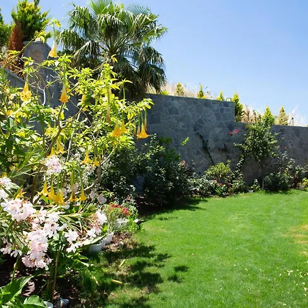 Calista By Important Group Travel *